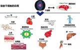 文章附图