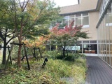 文章附图