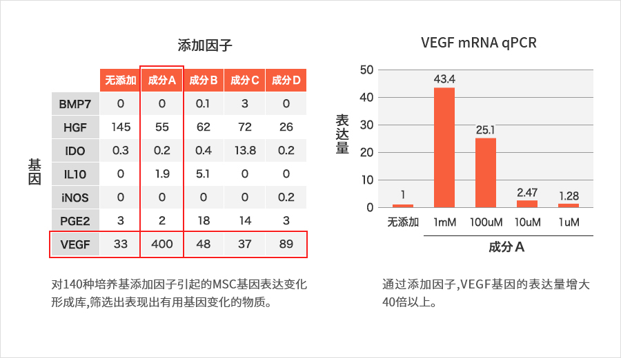 对特定功能性因子具有高表达的”Nao Cell®”