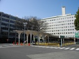 文章附图