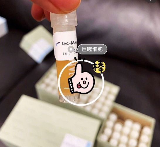 文章附图