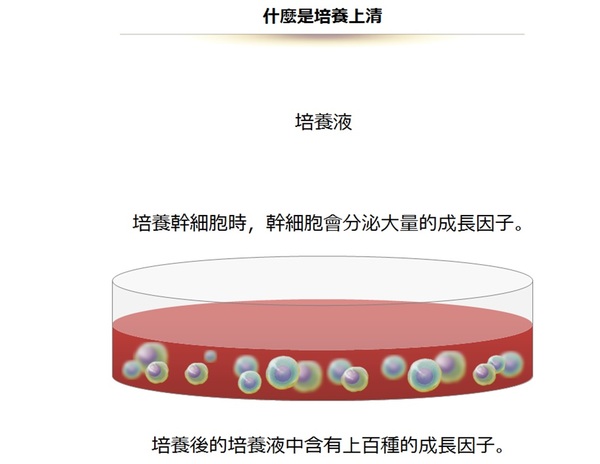 日本干细胞上清液-09.jpg