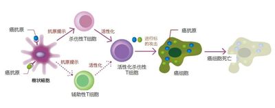 文章封面图